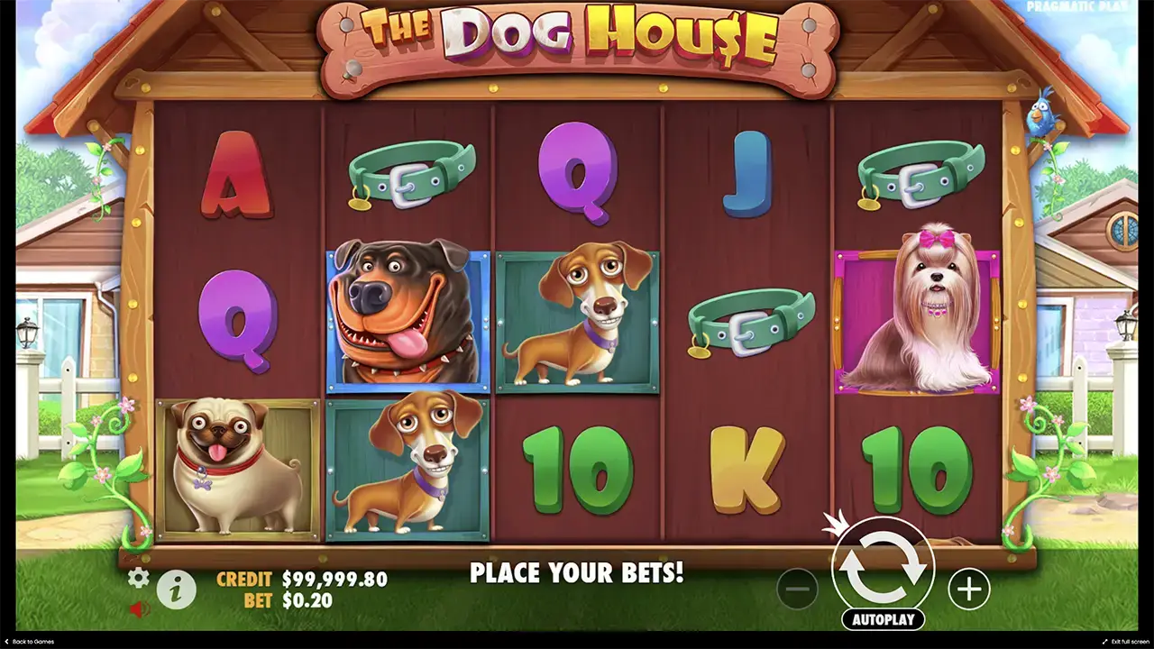 the Dog house максимальный выигрыш